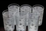 Akhiyan Cruzeal Modern Plastic Glass Set of 6