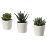 Plastic Artificial Plants Mini, Succulent Potted Faux Decorative Grass Plant For Home Decor (Pack Of 3), Green