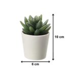 Plastic Artificial Plants Mini, Succulent Potted Faux Decorative Grass Plant For Home Decor (Pack Of 3), Green - Image 4